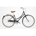 Step-Through Serious Arroyo 3 Speed Bicycle (43 Cm)